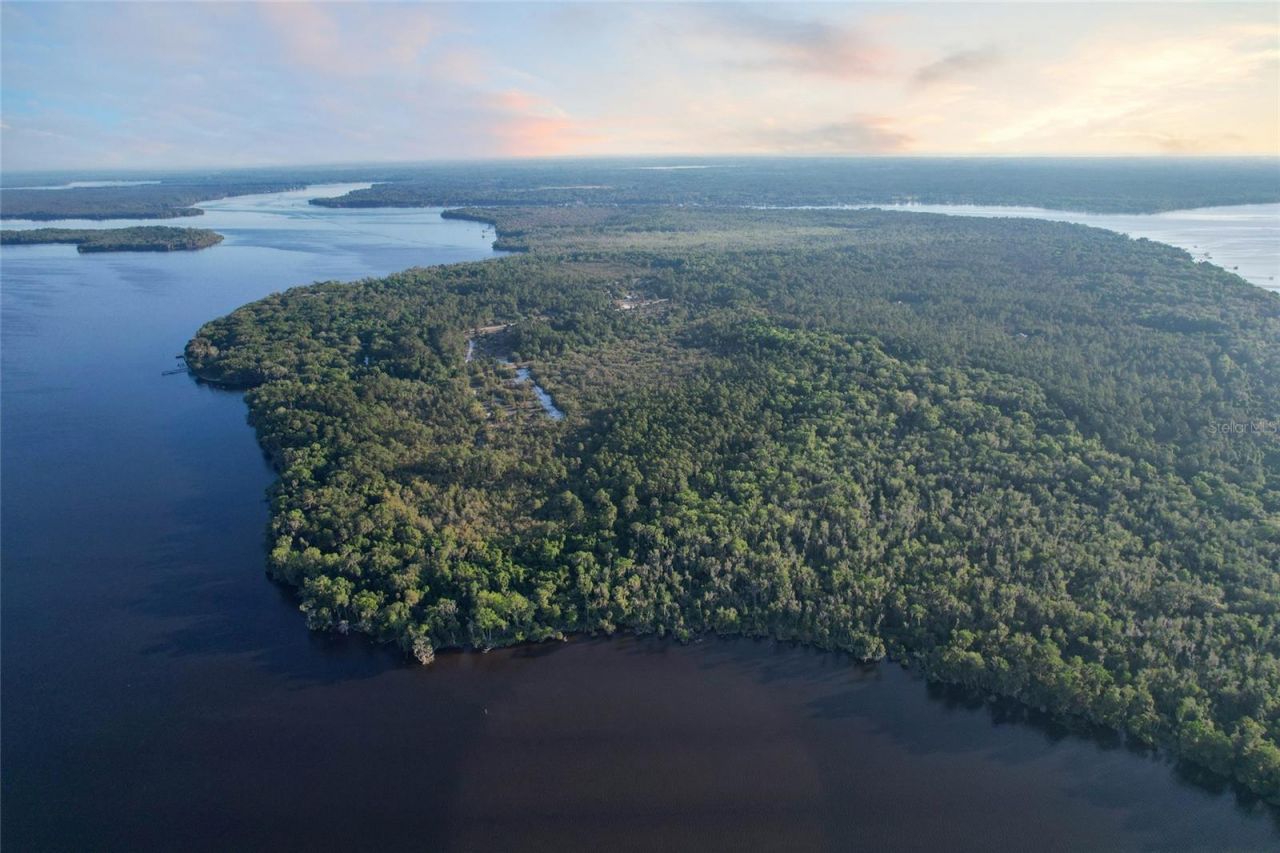 356 Drayton Island Road, Georgetown, FL 32139 Photo