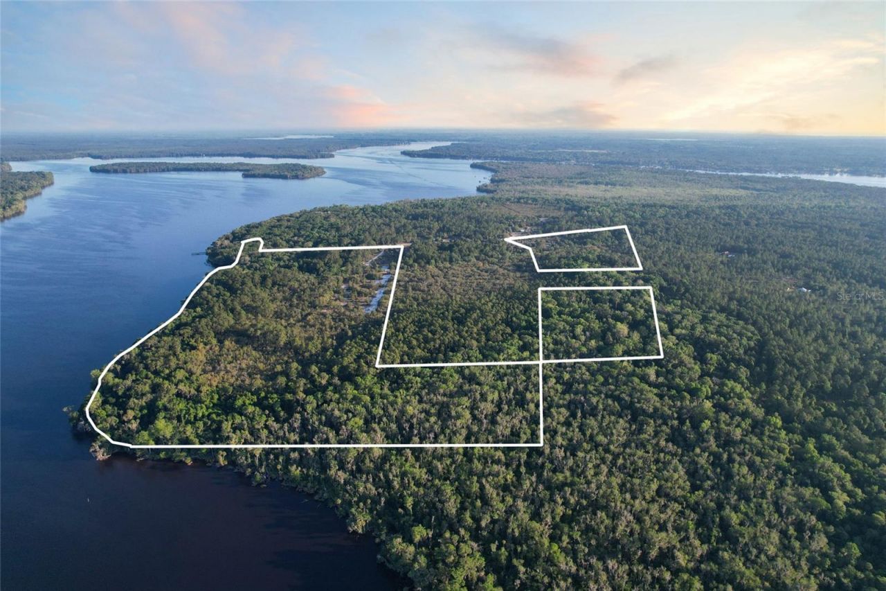 356 Drayton Island Road, Georgetown, FL 32139 Photo