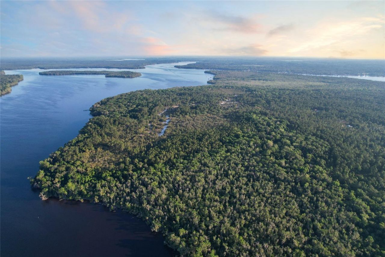 356 Drayton Island Road, Georgetown, FL 32139 Photo