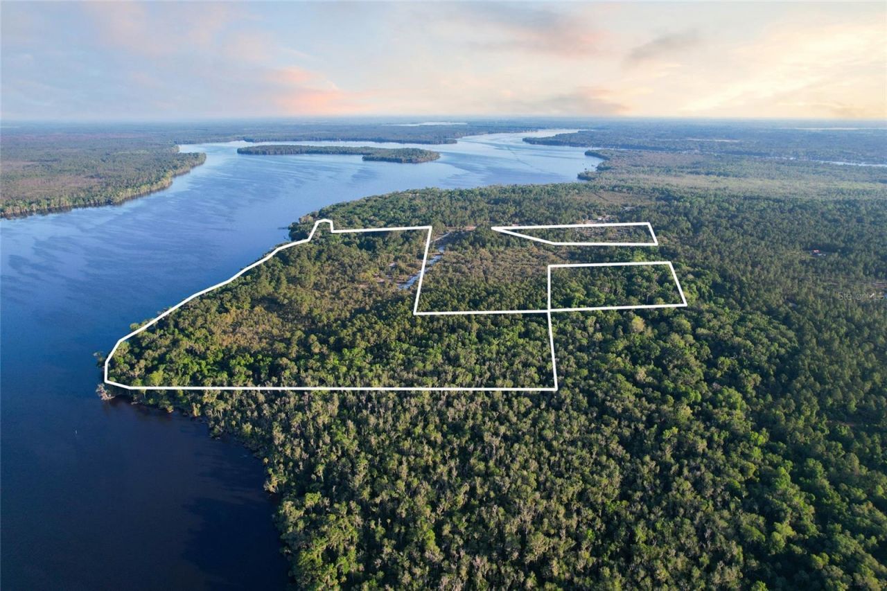 356 Drayton Island Road, Georgetown, FL 32139 Photo