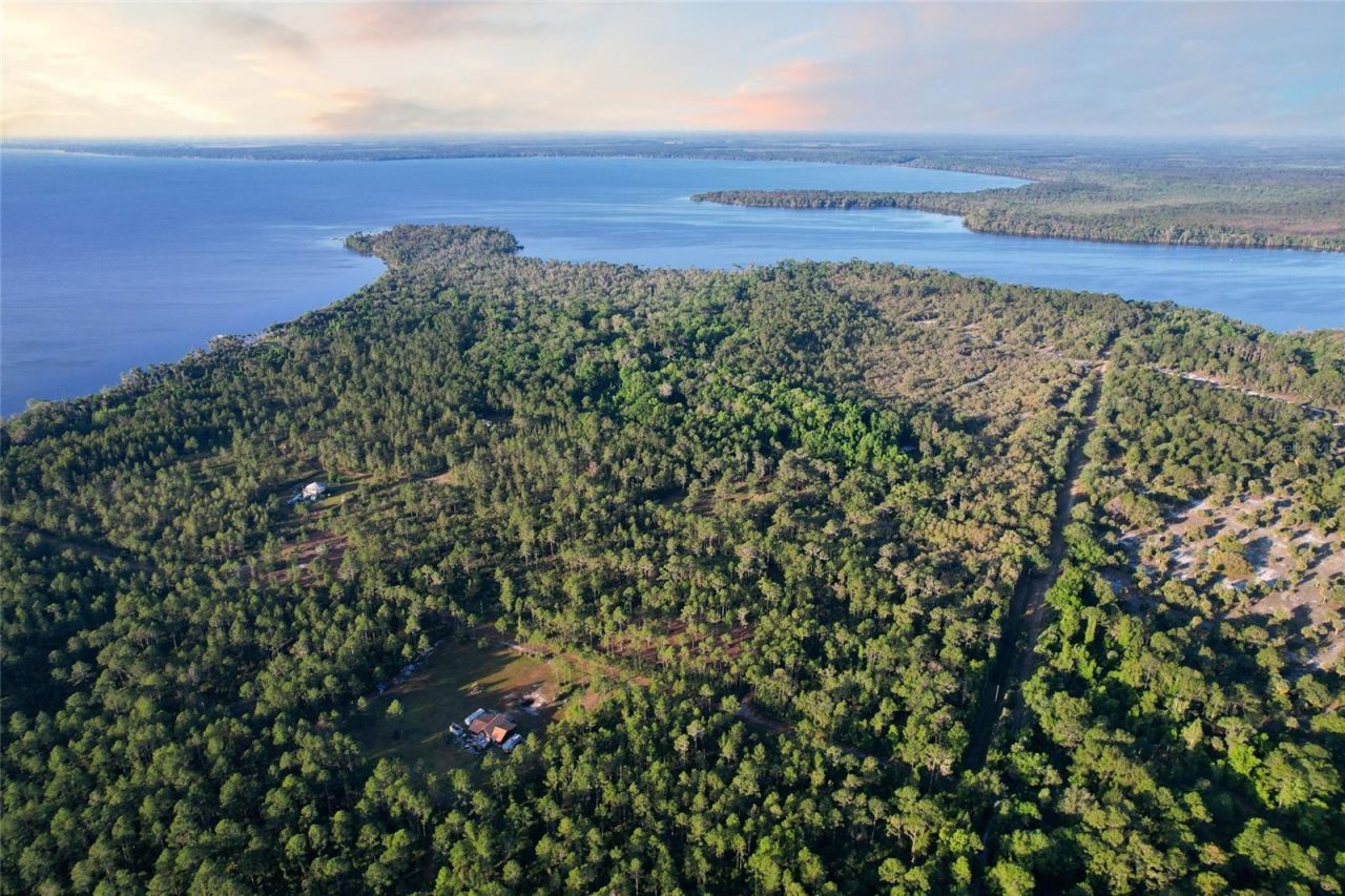 356 Drayton Island Road, Georgetown, FL 32139 Photo