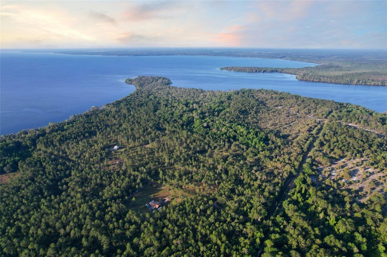 356 Drayton Island Road, Georgetown, FL 32139 Photo