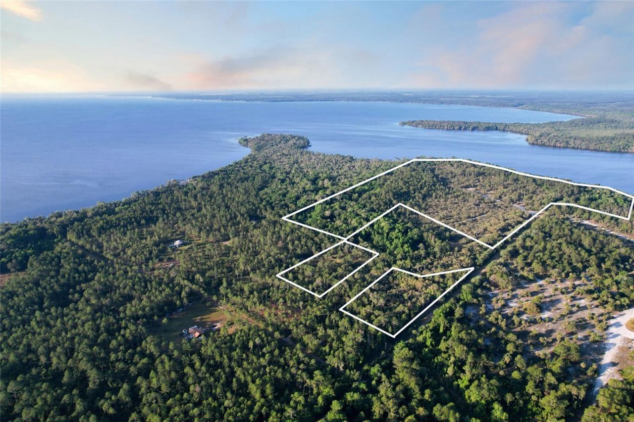 356 Drayton Island Road, Georgetown, FL 32139 Photo