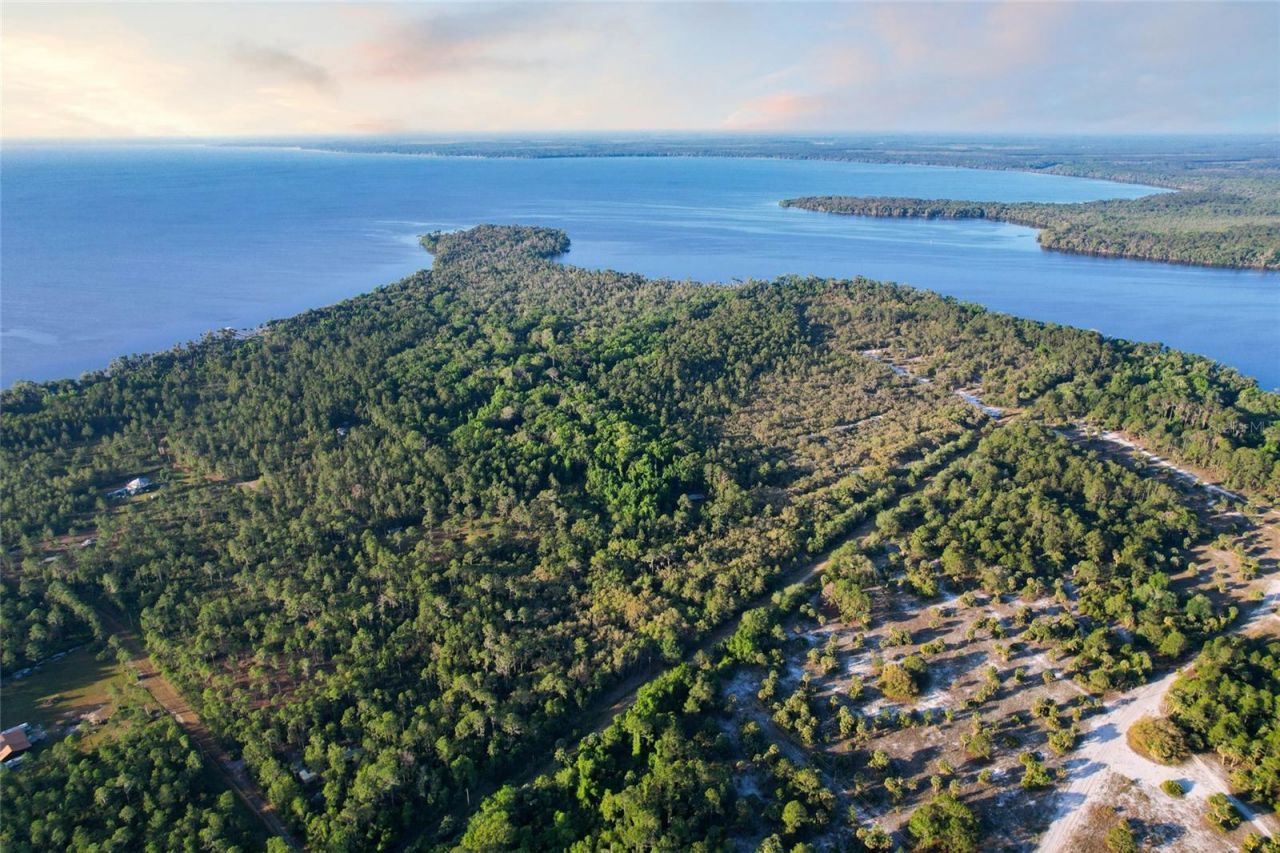 356 Drayton Island Road, Georgetown, FL 32139 Photo