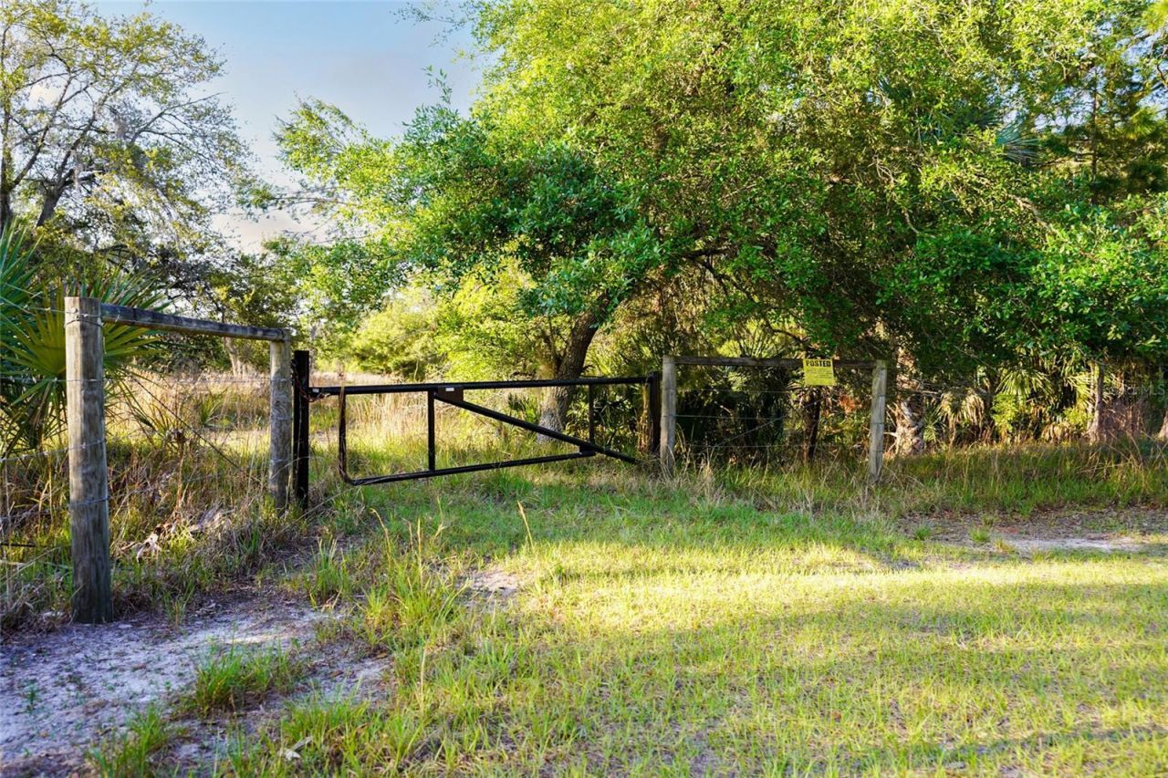 356 Drayton Island Road, Georgetown, FL 32139 Photo