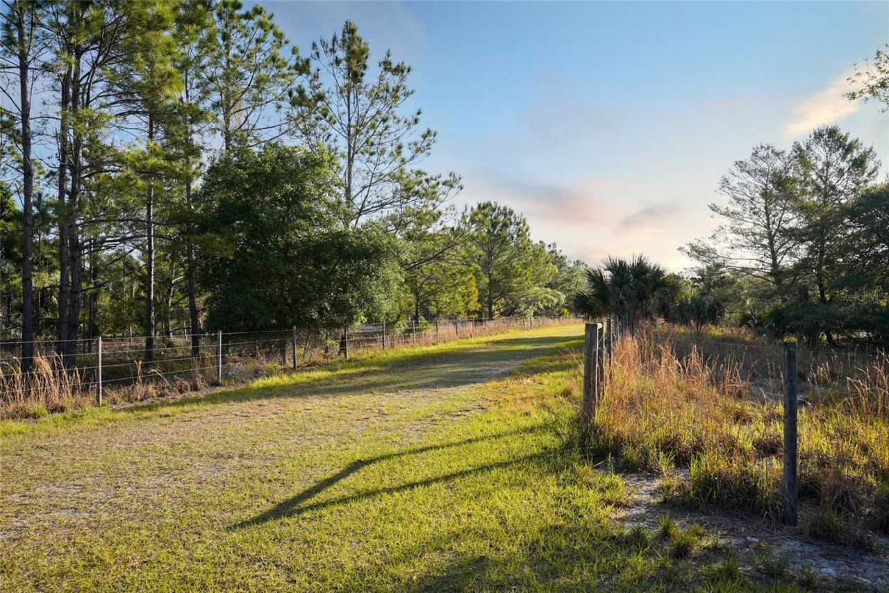 356 Drayton Island Road, Georgetown, FL 32139 Photo