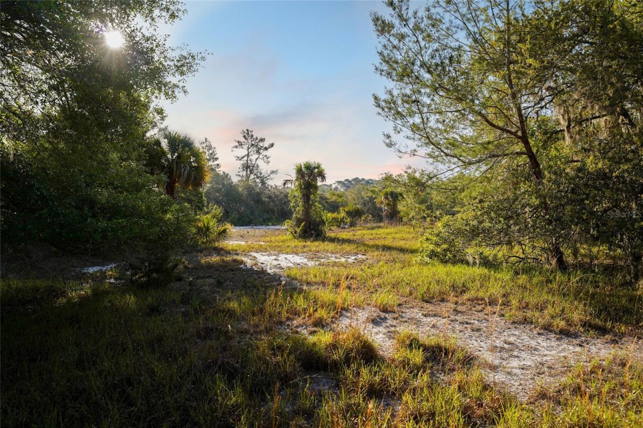 356 Drayton Island Road, Georgetown, FL 32139 Photo