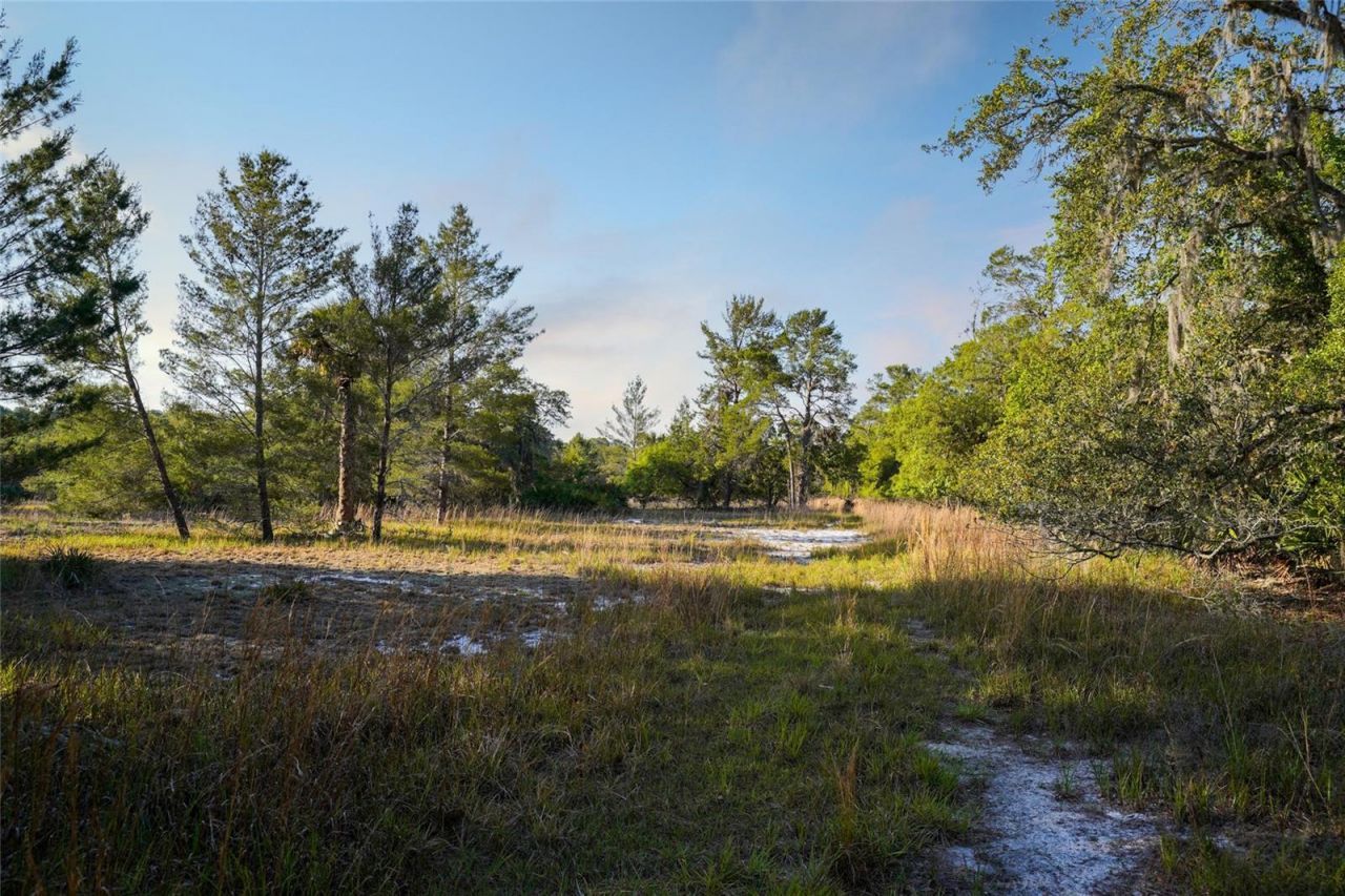 356 Drayton Island Road, Georgetown, FL 32139 Photo