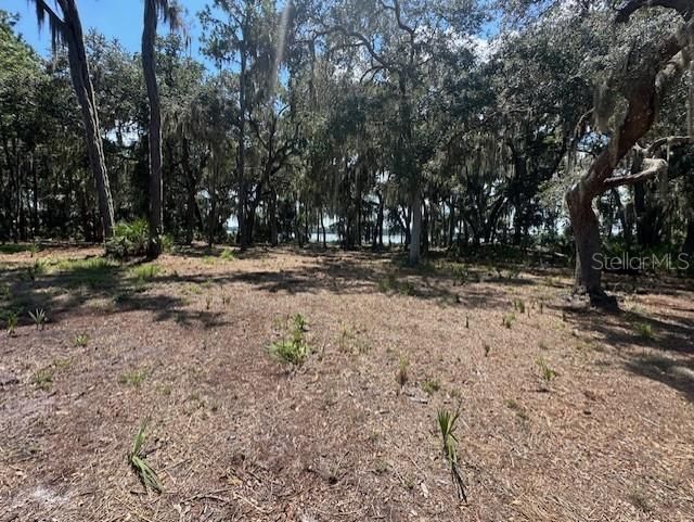 356 Drayton Island Road, Georgetown, FL 32139 Photo