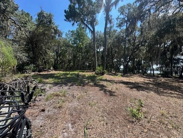 356 Drayton Island Road, Georgetown, FL 32139 Photo