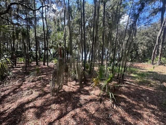 356 Drayton Island Road, Georgetown, FL 32139 Photo