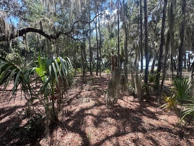 356 Drayton Island Road, Georgetown, FL 32139 Photo