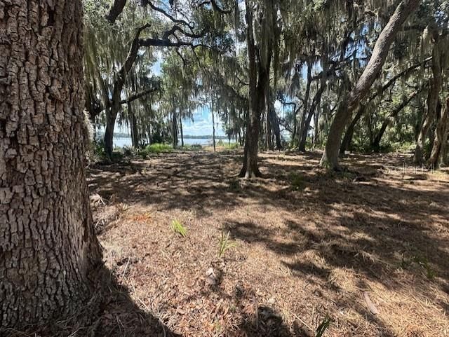 356 Drayton Island Road, Georgetown, FL 32139 Photo