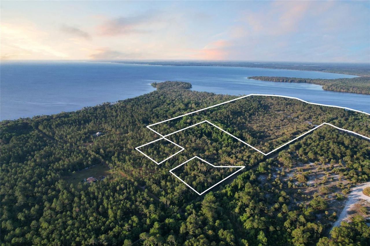 356 Drayton Island Road, Georgetown, FL 32139 Photo