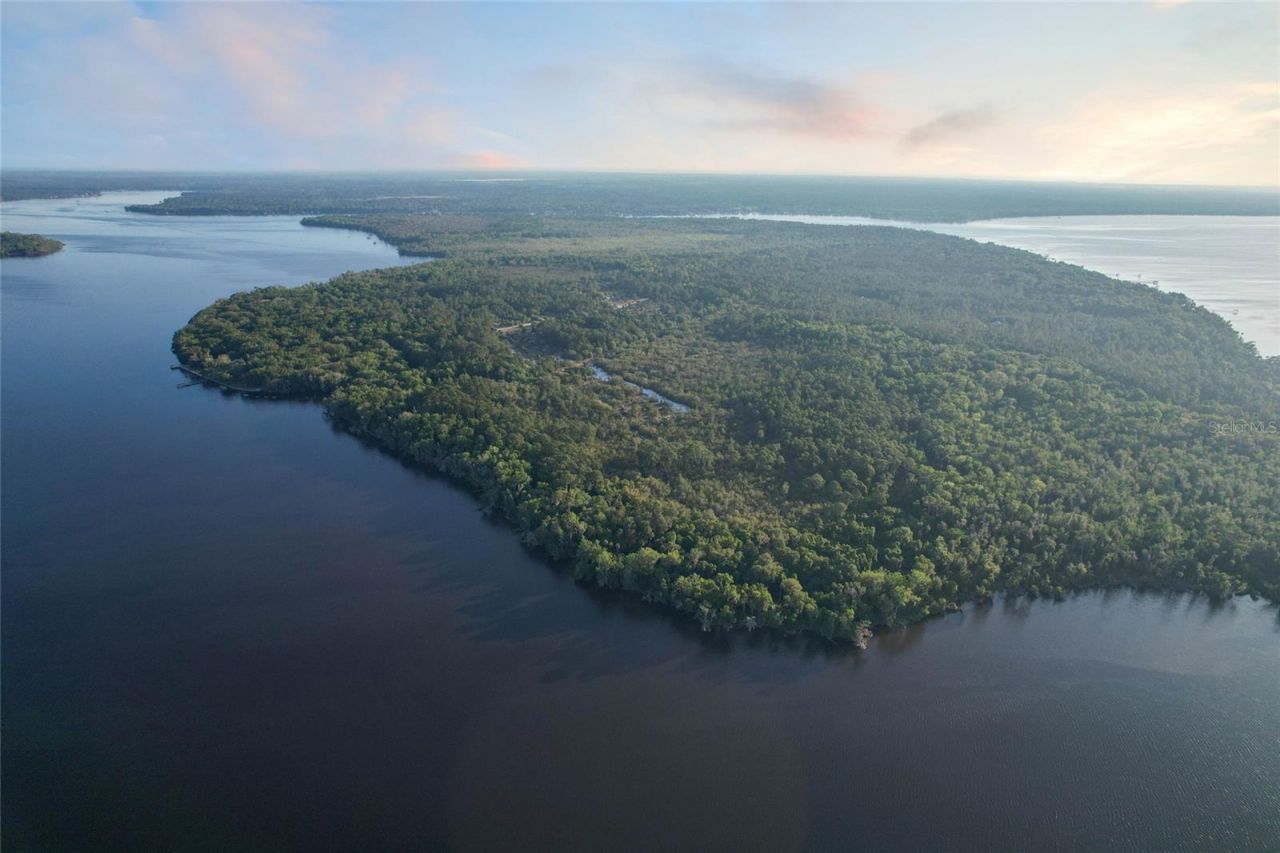 356 Drayton Island Road, Georgetown, FL 32139 Photo