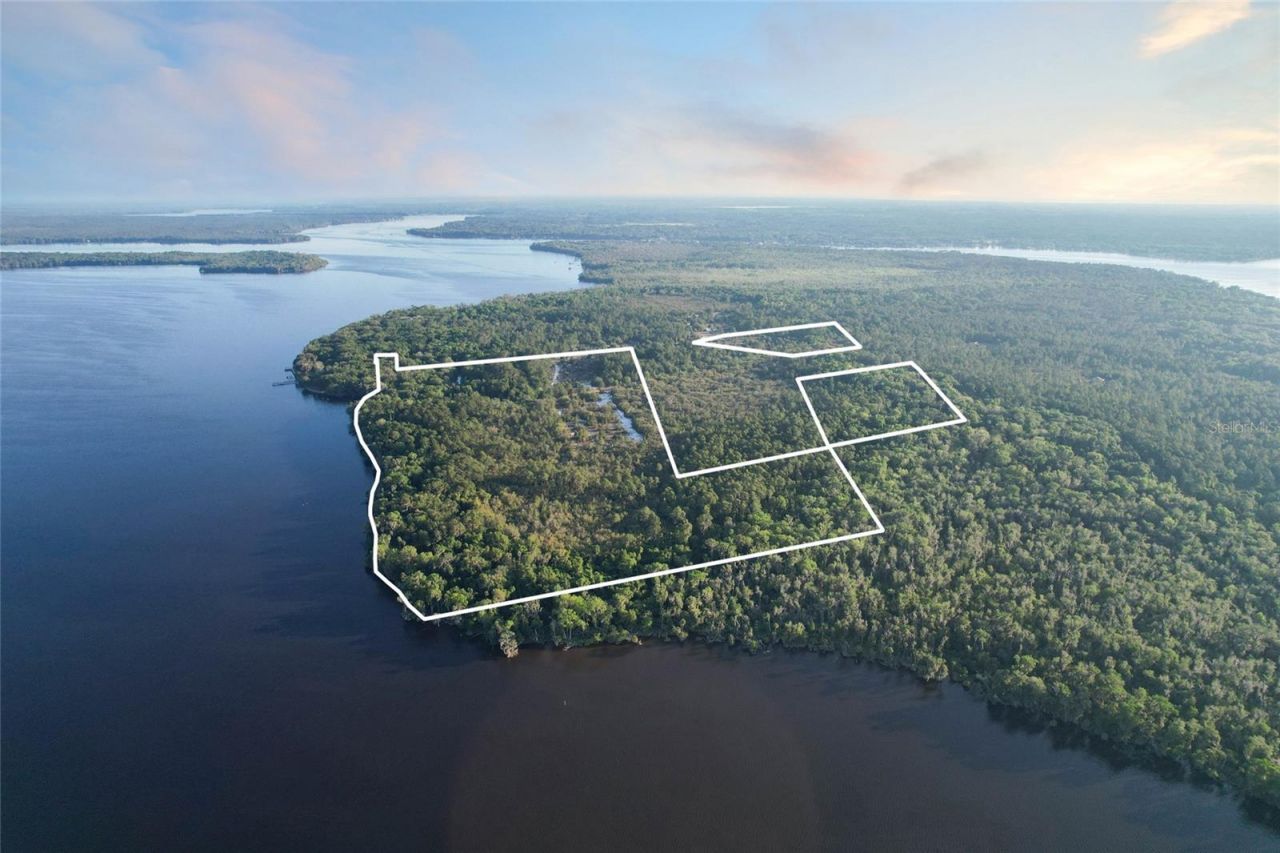 356 Drayton Island Road, Georgetown, FL 32139 Photo