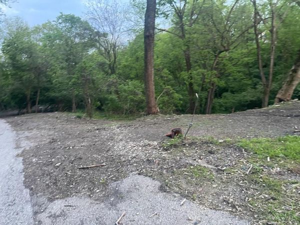 3295 Fyffe Avenue, Cincinnati, OH 45211