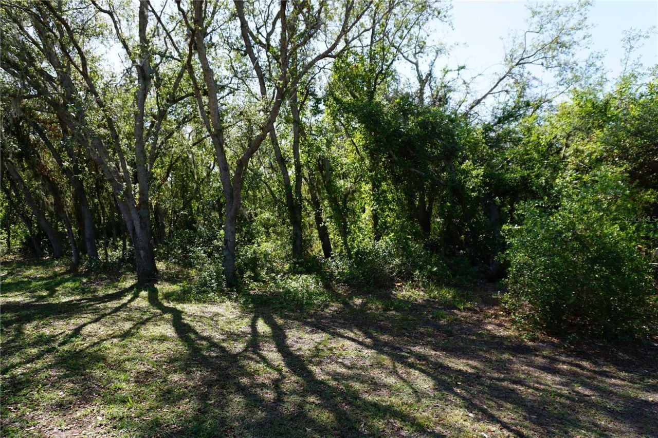 29211 Picador Street, Punta Gorda, FL 33982 Photo