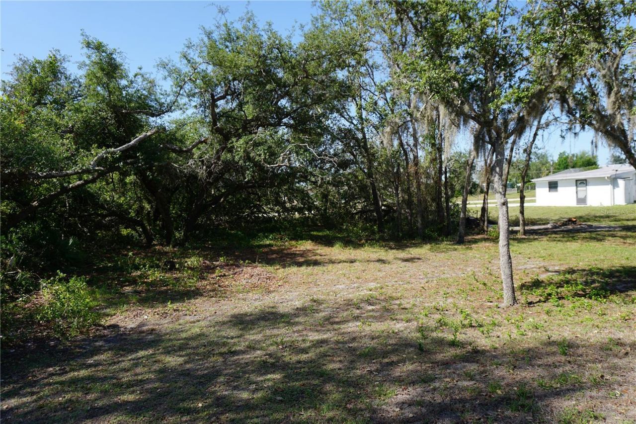 29211 Picador Street, Punta Gorda, FL 33982 Photo