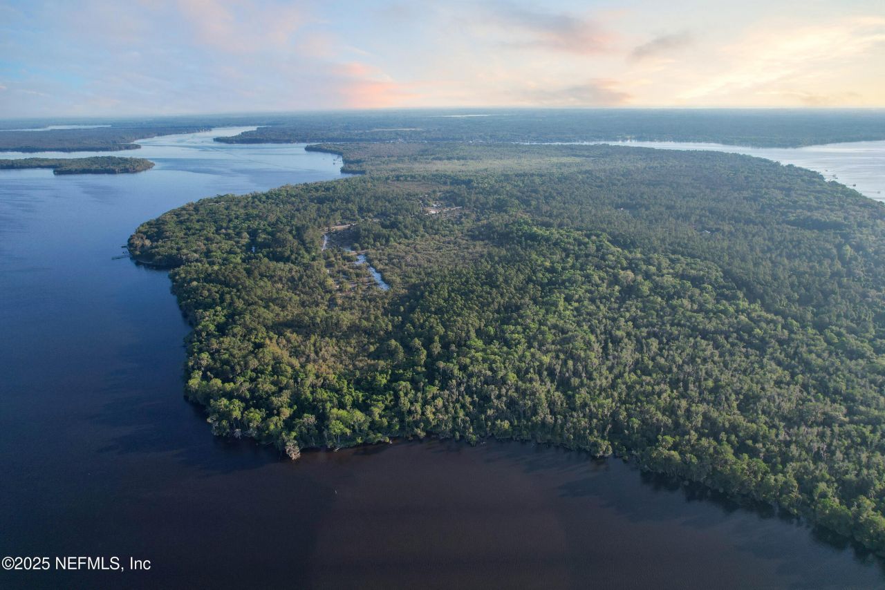 356 Drayton Island Road, Georgetown, FL 32139 Photo