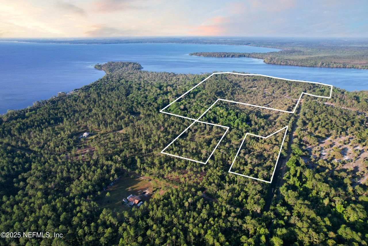 356 Drayton Island Road, Georgetown, FL 32139 Photo