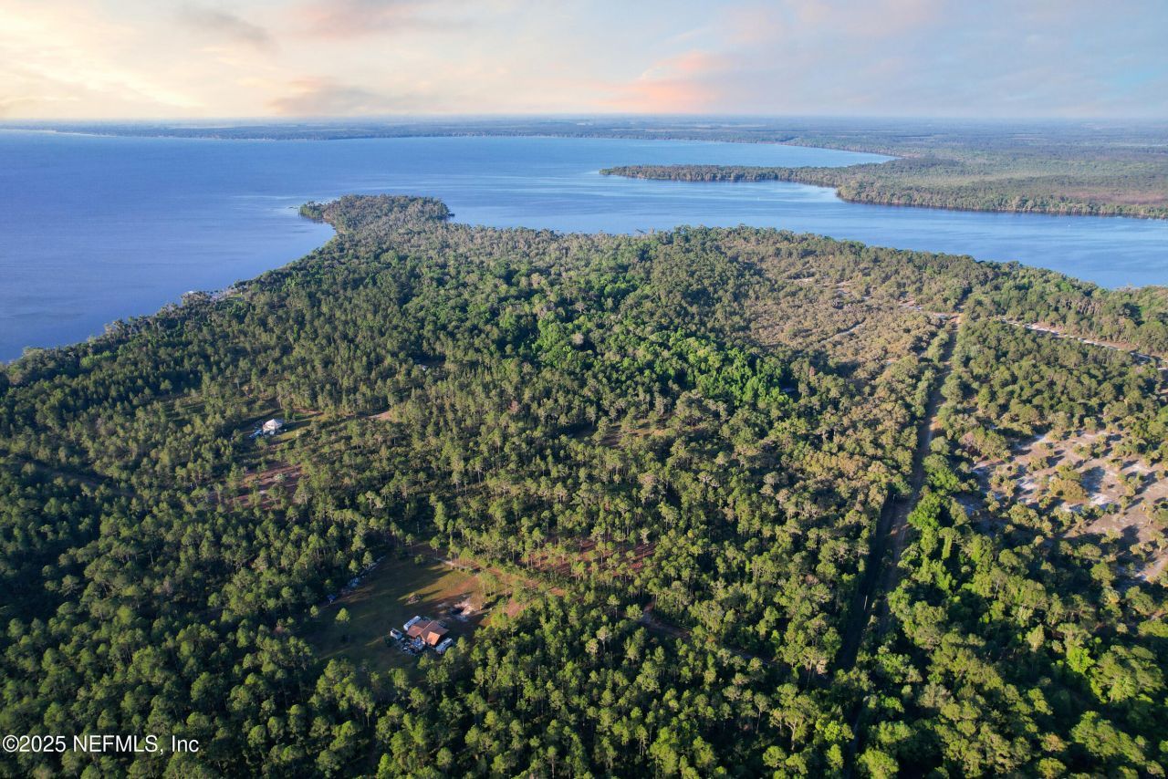 356 Drayton Island Road, Georgetown, FL 32139 Photo