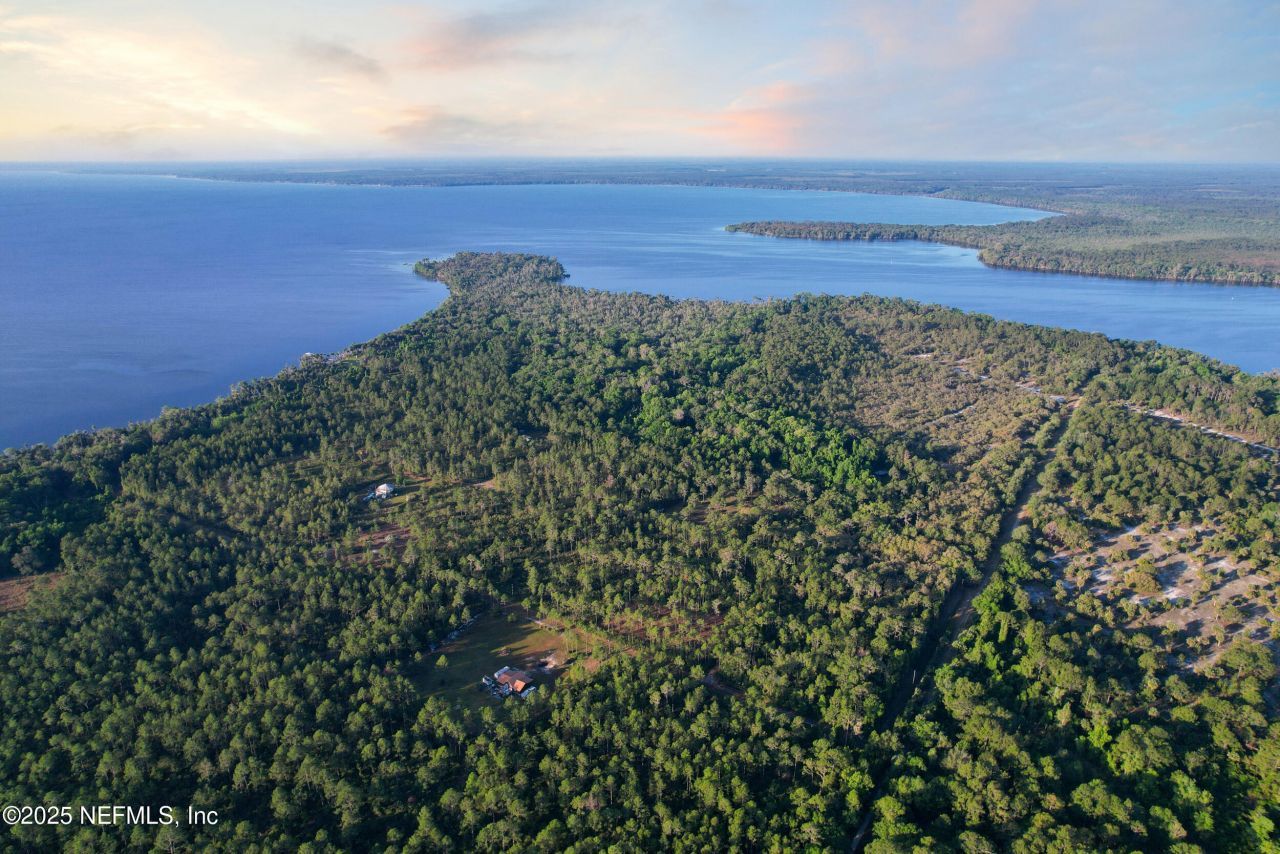 356 Drayton Island Road, Georgetown, FL 32139 Photo