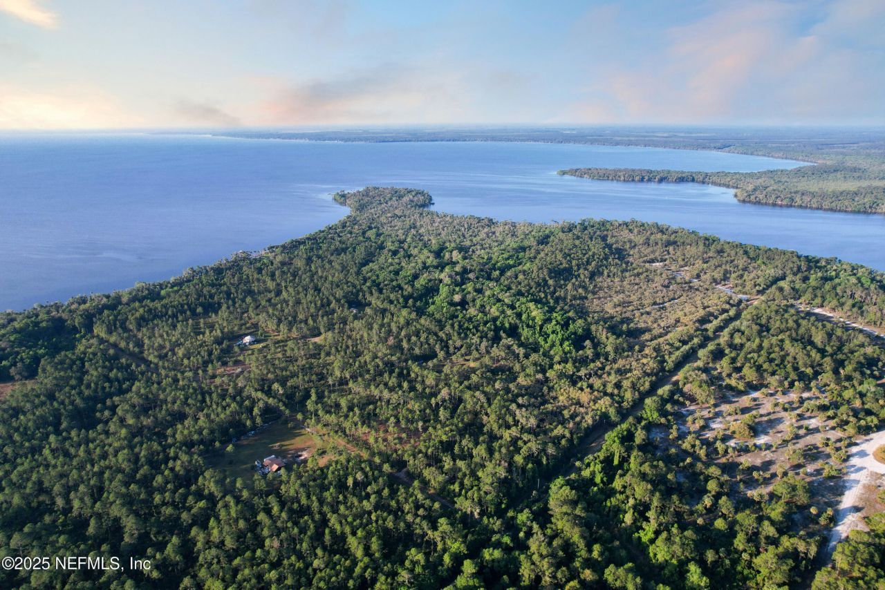 356 Drayton Island Road, Georgetown, FL 32139 Photo