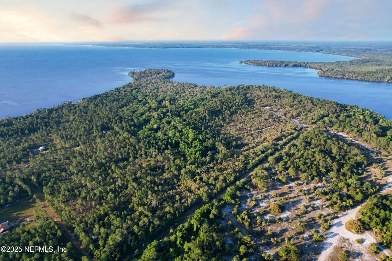 356 Drayton Island Road, Georgetown, FL 32139 Photo