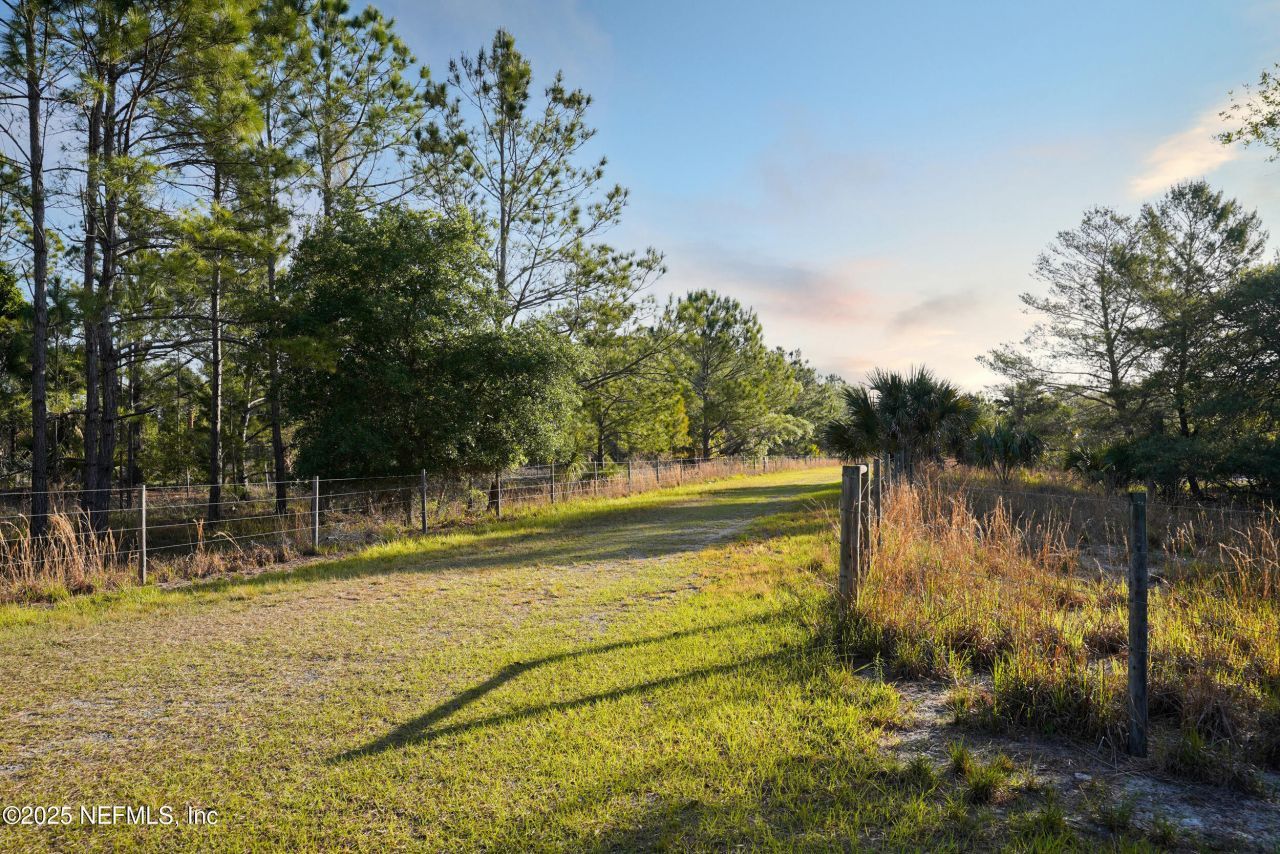 356 Drayton Island Road, Georgetown, FL 32139 Photo