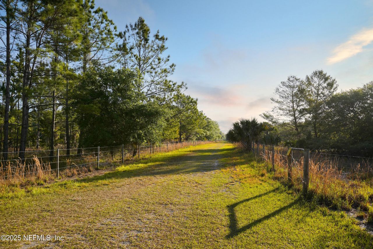 356 Drayton Island Road, Georgetown, FL 32139 Photo