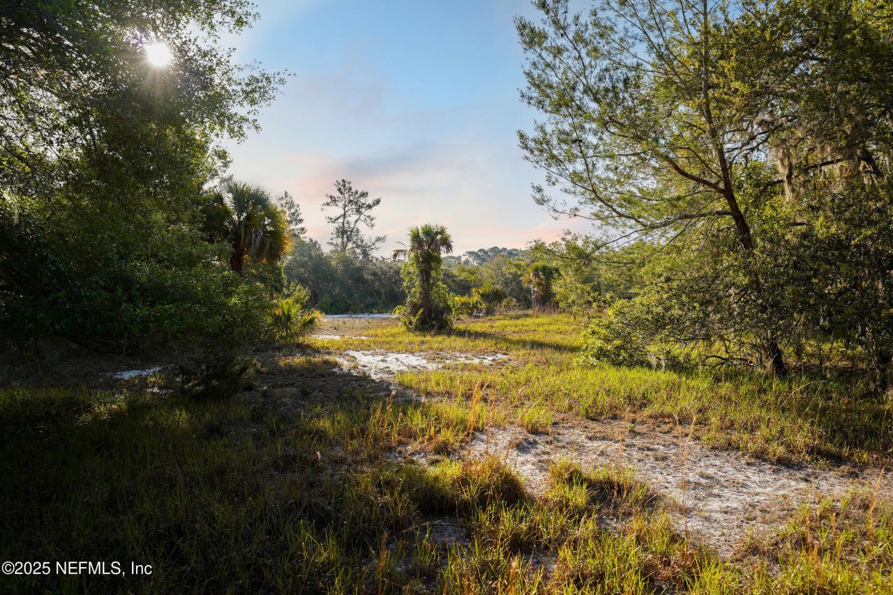 356 Drayton Island Road, Georgetown, FL 32139 Photo