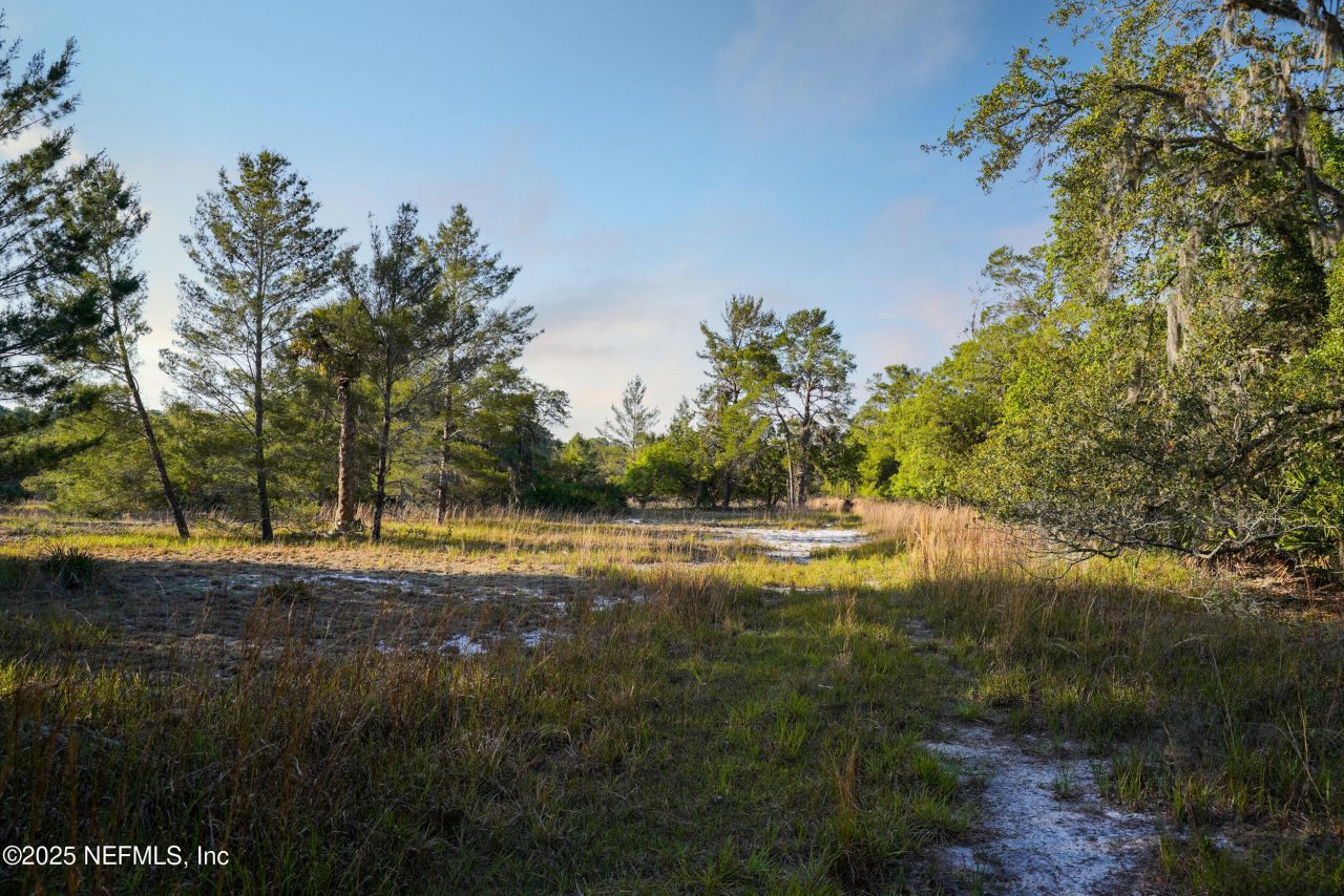 356 Drayton Island Road, Georgetown, FL 32139 Photo