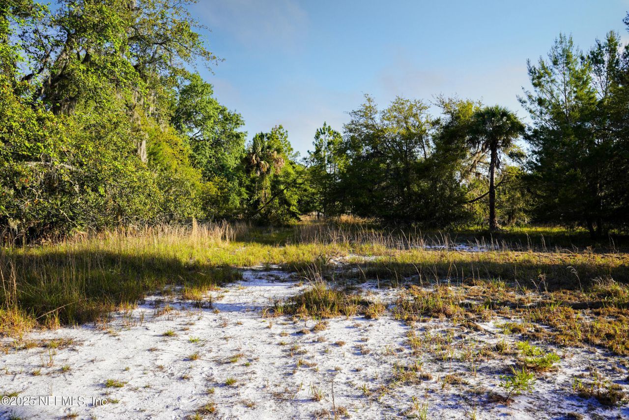 356 Drayton Island Road, Georgetown, FL 32139 Photo