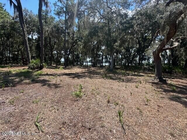 356 Drayton Island Road, Georgetown, FL 32139 Photo