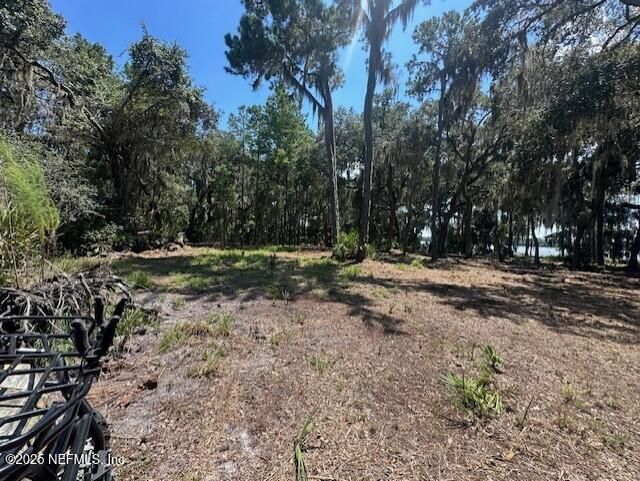 356 Drayton Island Road, Georgetown, FL 32139 Photo