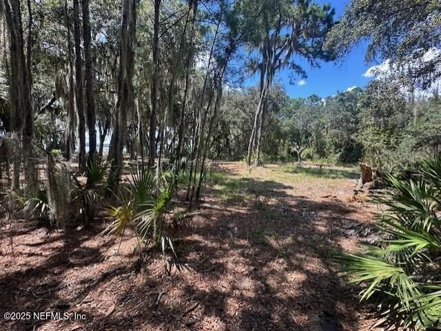 356 Drayton Island Road, Georgetown, FL 32139 Photo