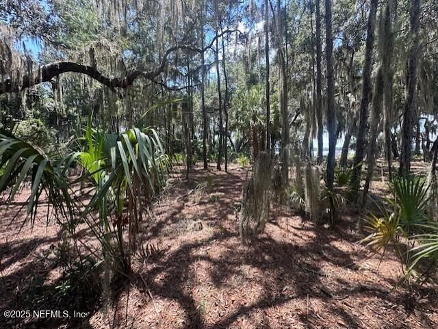 356 Drayton Island Road, Georgetown, FL 32139 Photo