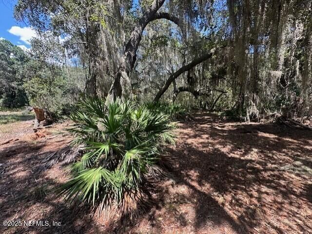 356 Drayton Island Road, Georgetown, FL 32139 Photo