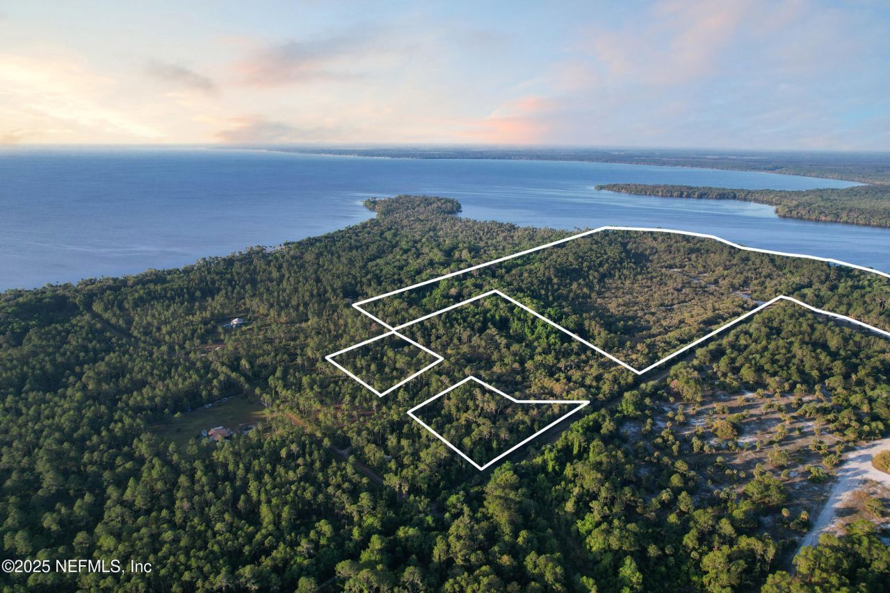 356 Drayton Island Road, Georgetown, FL 32139 Photo