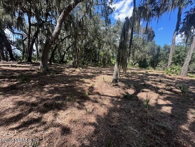 356 Drayton Island Road, Georgetown, FL 32139 Photo
