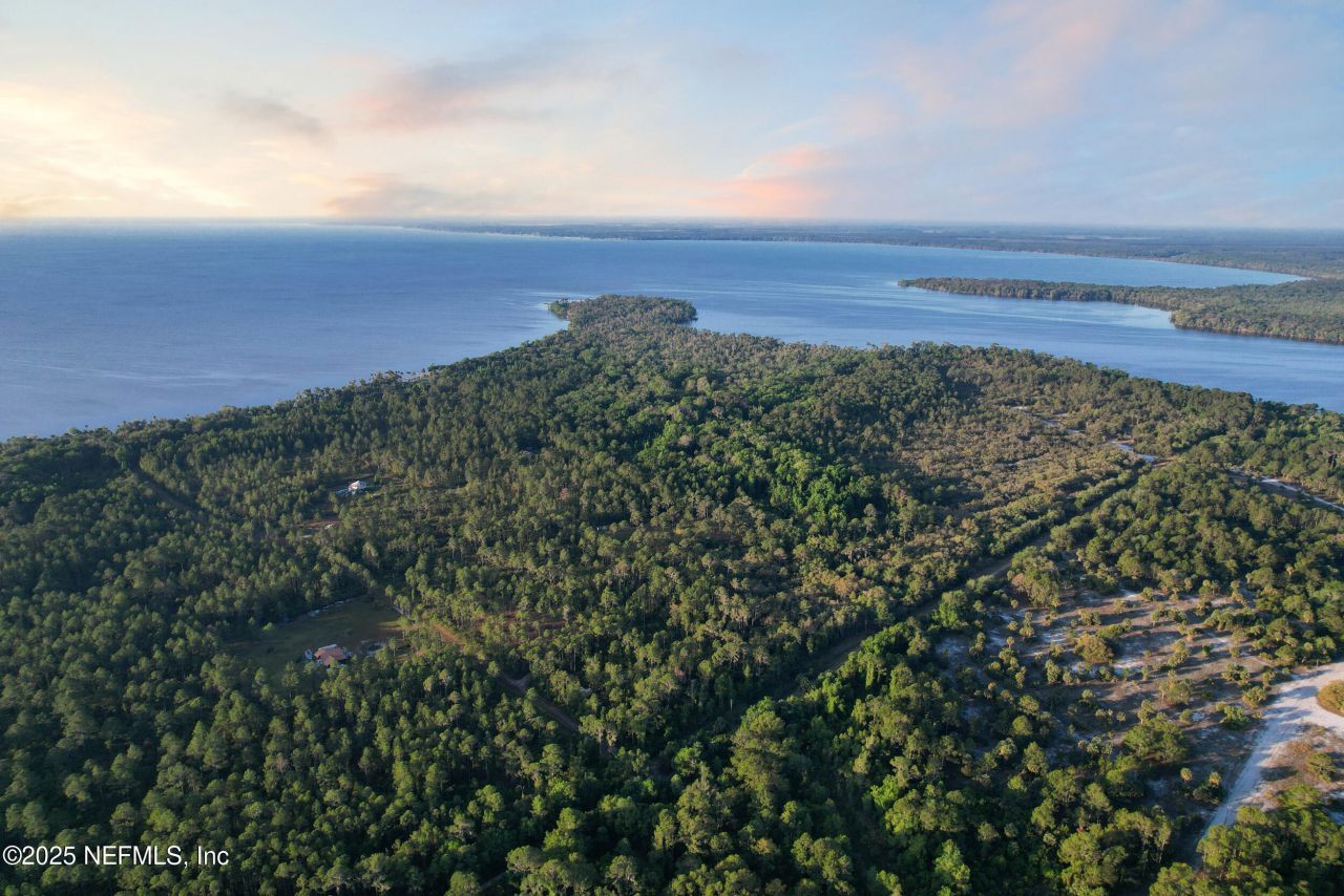 356 Drayton Island Road, Georgetown, FL 32139 Photo