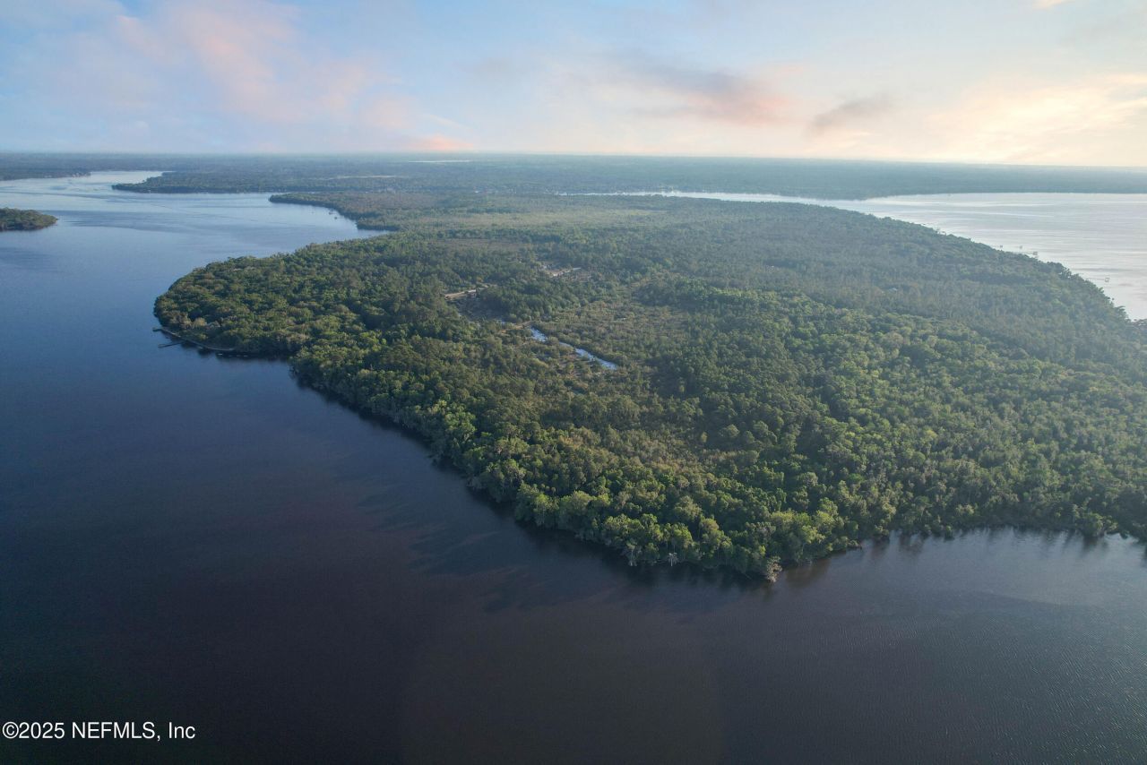 356 Drayton Island Road, Georgetown, FL 32139 Photo