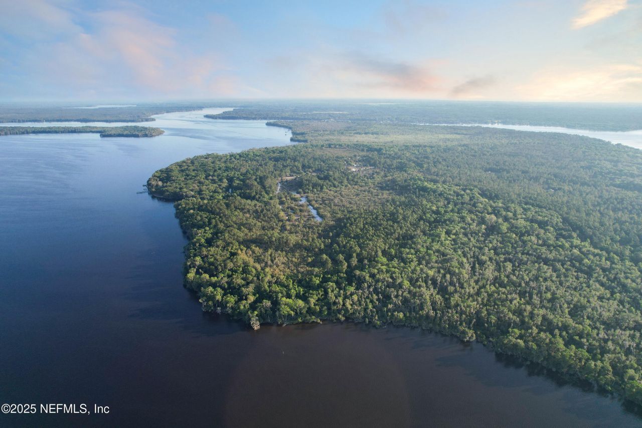 356 Drayton Island Road, Georgetown, FL 32139 Photo