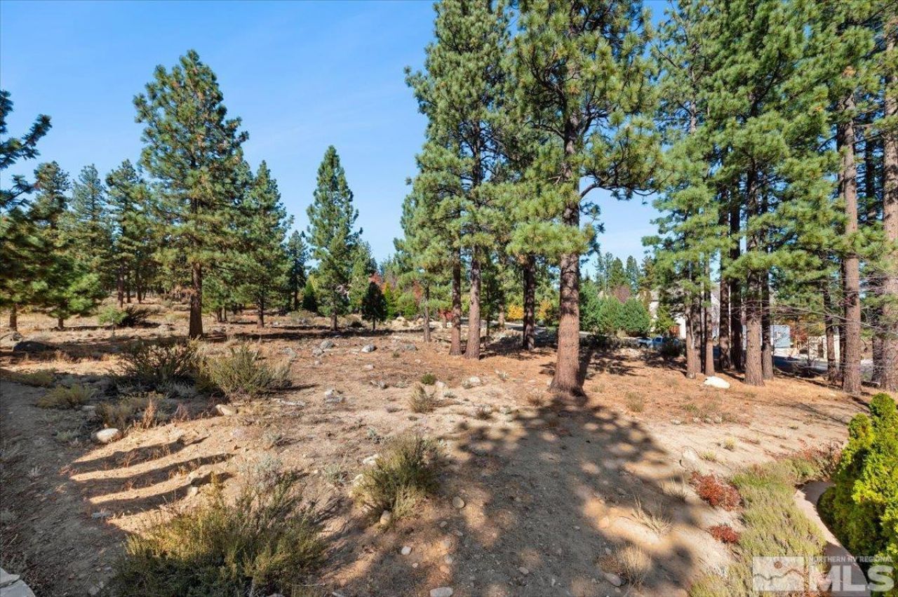 20500 Margaux Road, Reno, NV 89511 Photo