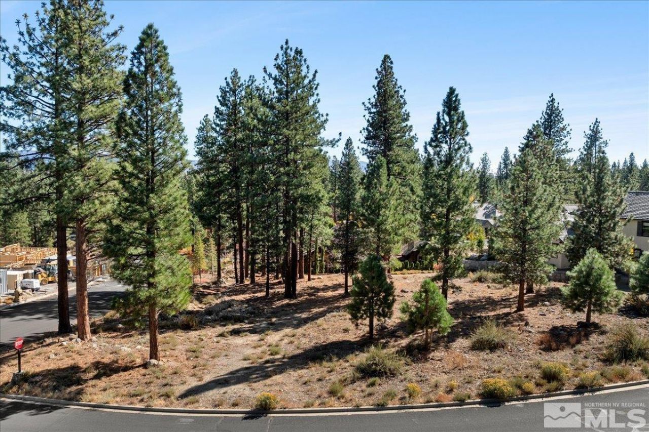 20500 Margaux Road, Reno, NV 89511 Photo