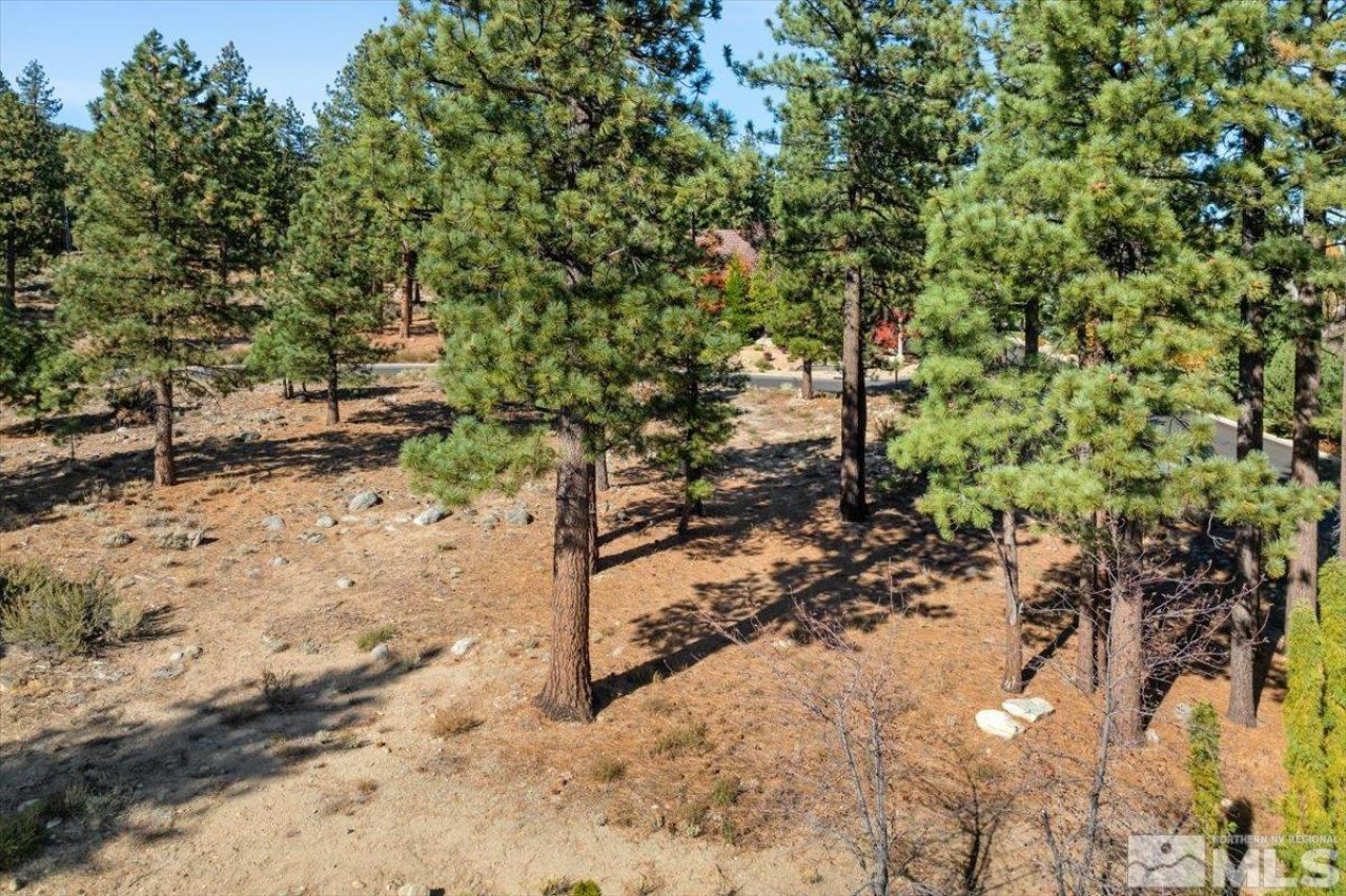 20500 Margaux Road, Reno, NV 89511 Photo