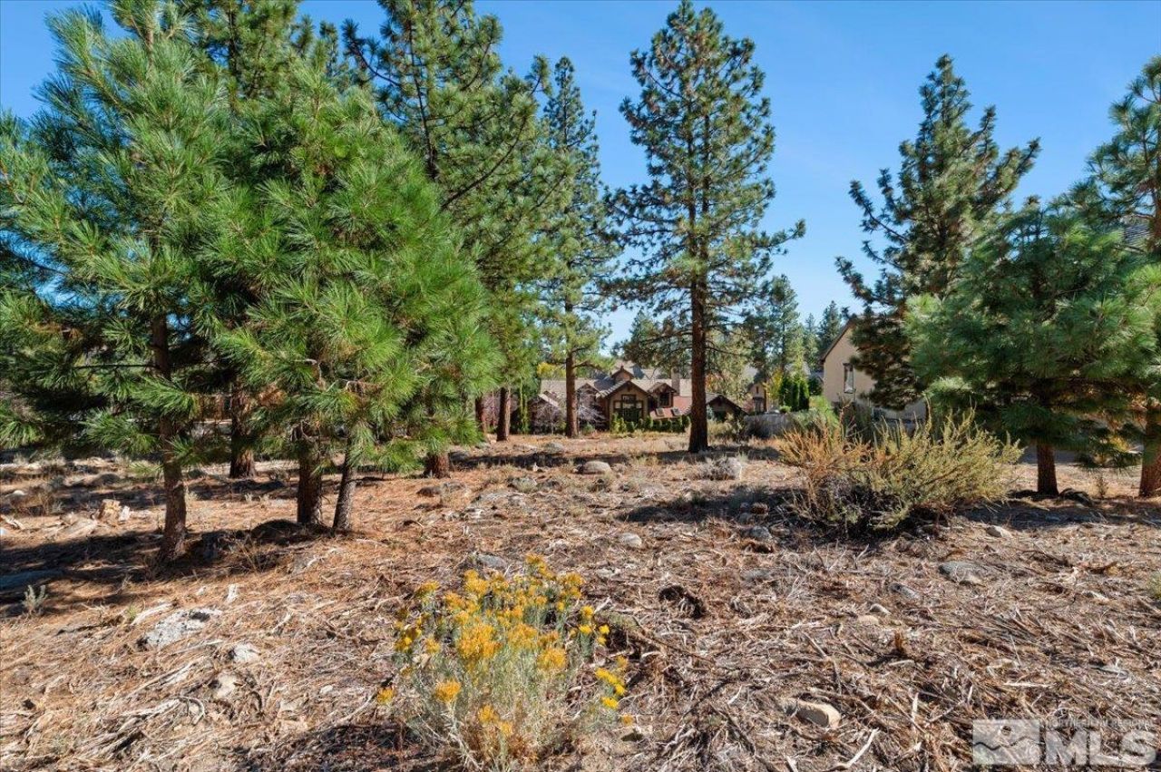 20500 Margaux Road, Reno, NV 89511 Photo