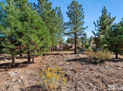 20500 Margaux Road, Reno, NV 89511 Photo