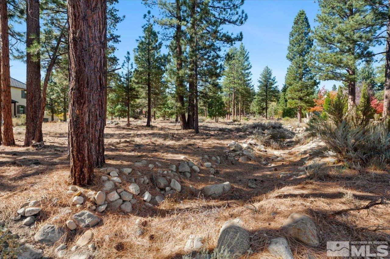 20500 Margaux Road, Reno, NV 89511 Photo